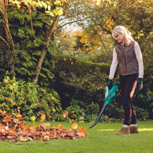 Bosch ALB 18 LI Bladblazer - Met 18 V accu en lader